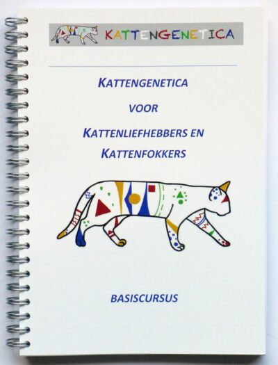Basiscursus NL